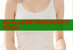 糖心vlog全明星阵容揭秘精彩幕后与创作秘诀
