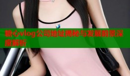 糖心vlog公司地址揭秘与发展前景深度解析
