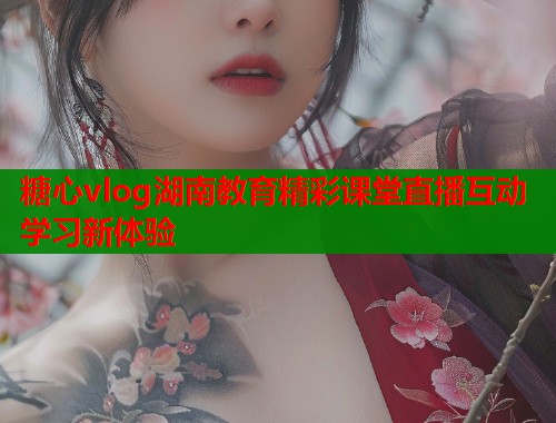 糖心vlog湖南教育精彩课堂直播互动学习新体验