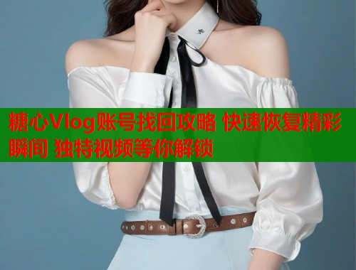 糖心Vlog账号找回攻略 快速恢复精彩瞬间 独特视频等你解锁