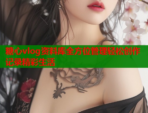 糖心vlog资料库全方位管理轻松创作记录精彩生活